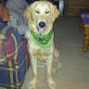 Meet your Posher, Sue